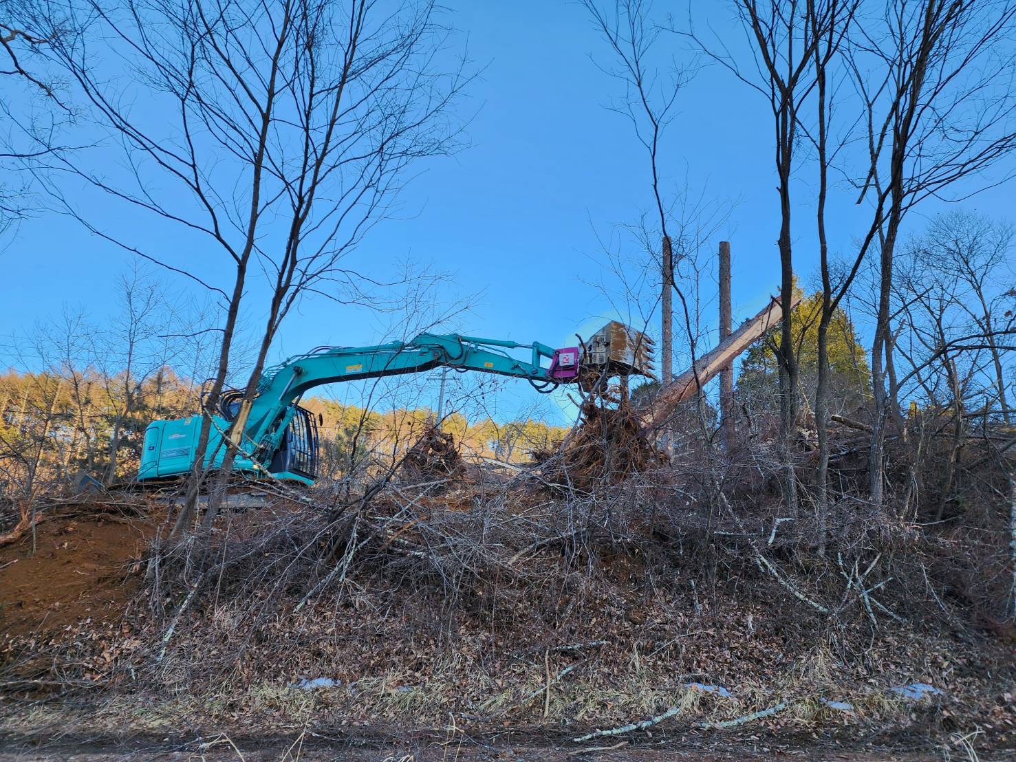 長野県 佐久市 土木伐採伐根工事（素材生産）完了