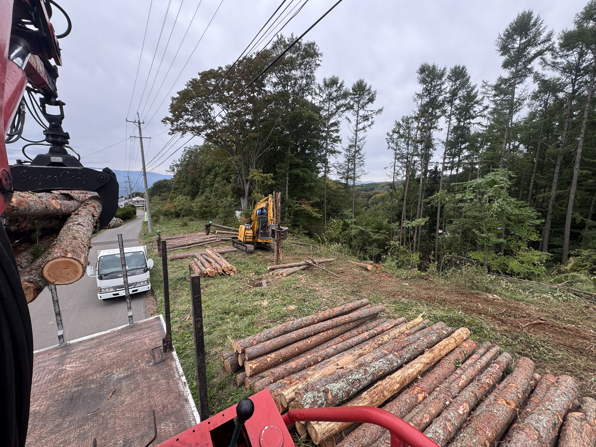 長野県小諸市 カラ松、楢 素材生産 完了