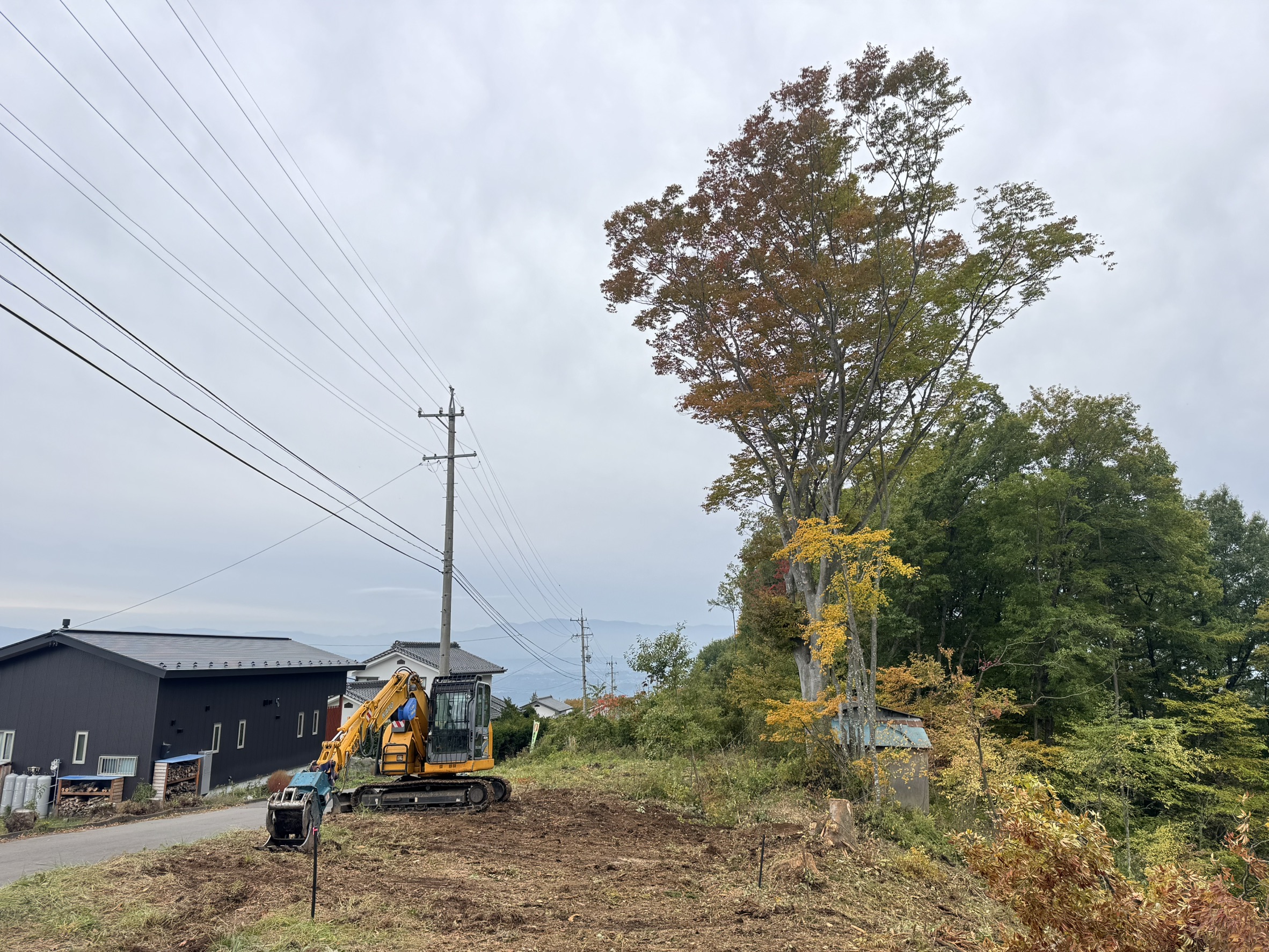 長野県小諸市 ケヤキ 剪定 特殊伐採 完了