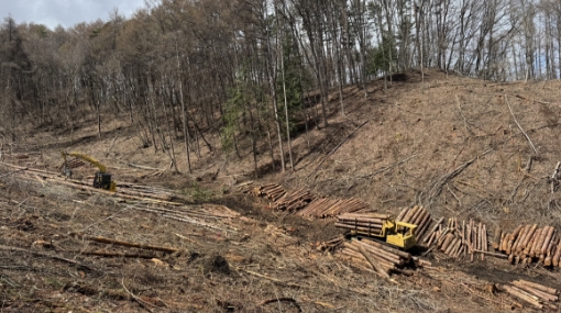 林業・素材生産