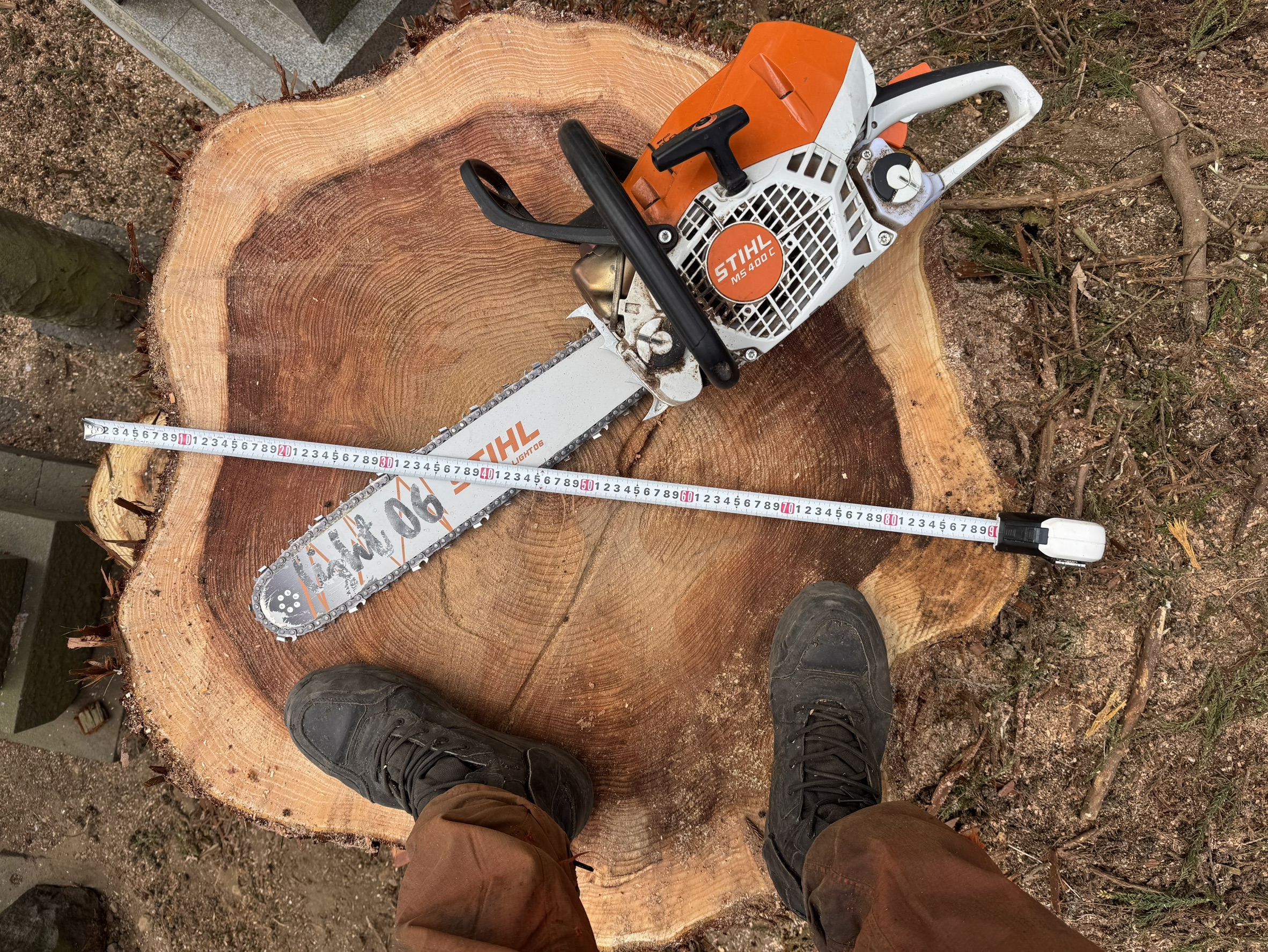 小諸市 御墓の杉1本 特殊伐採 完了