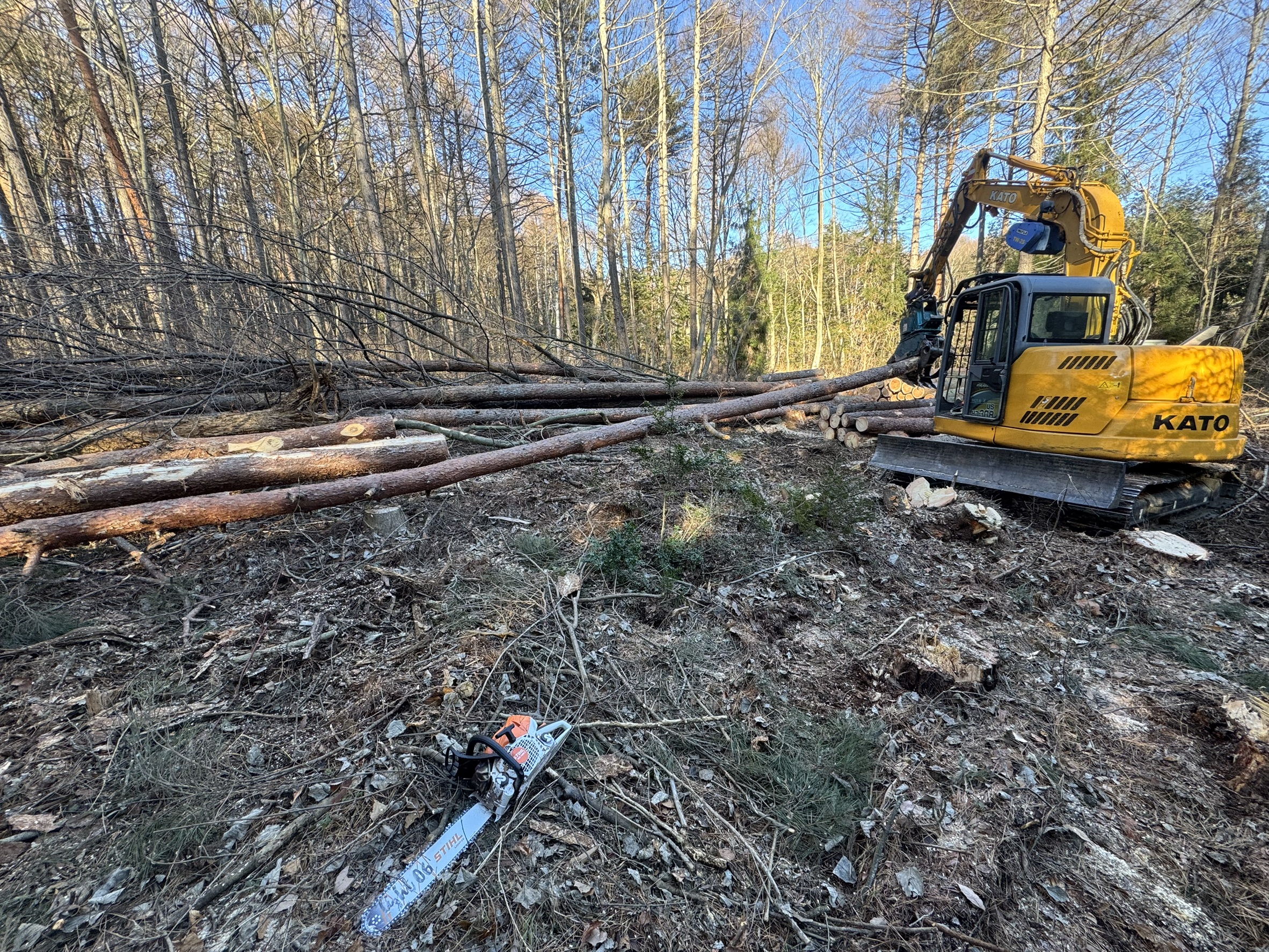 小諸市 山林 素材生産 完了