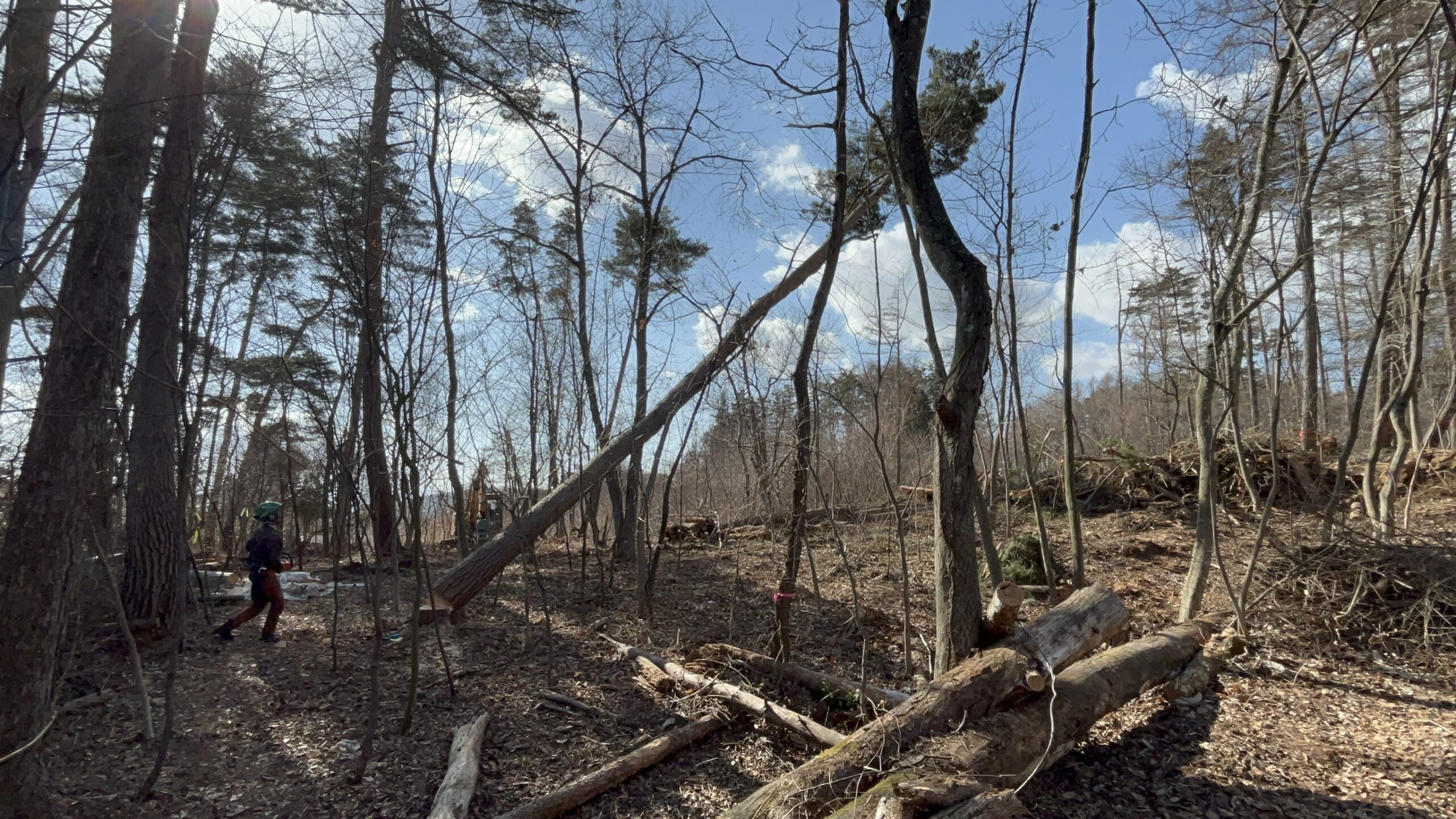 小諸市 不動産 伐採・造成業務 完了