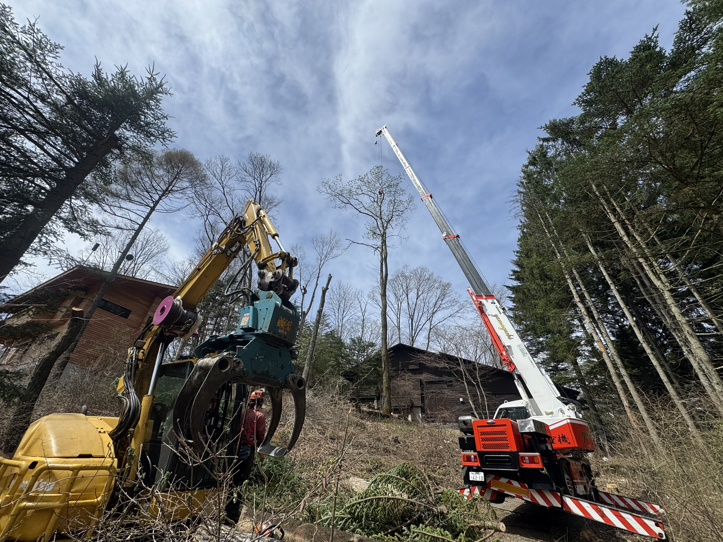 軽井沢町発地 特殊伐採 完了