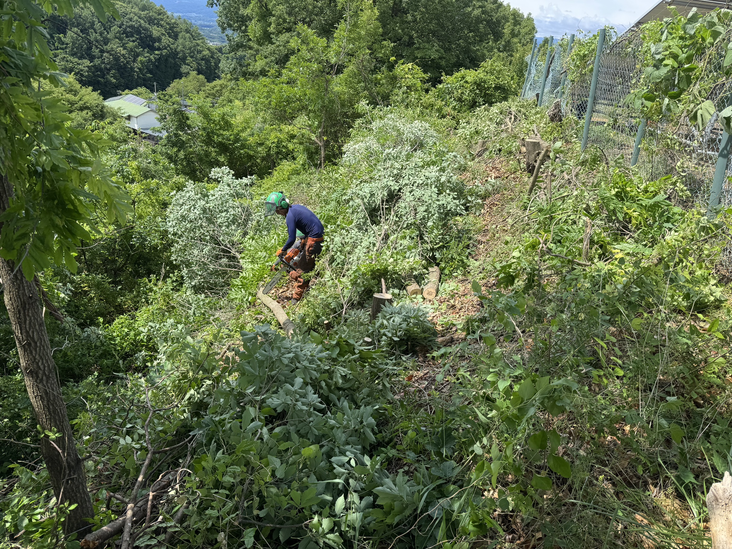 小諸市 法面除伐作業 完了